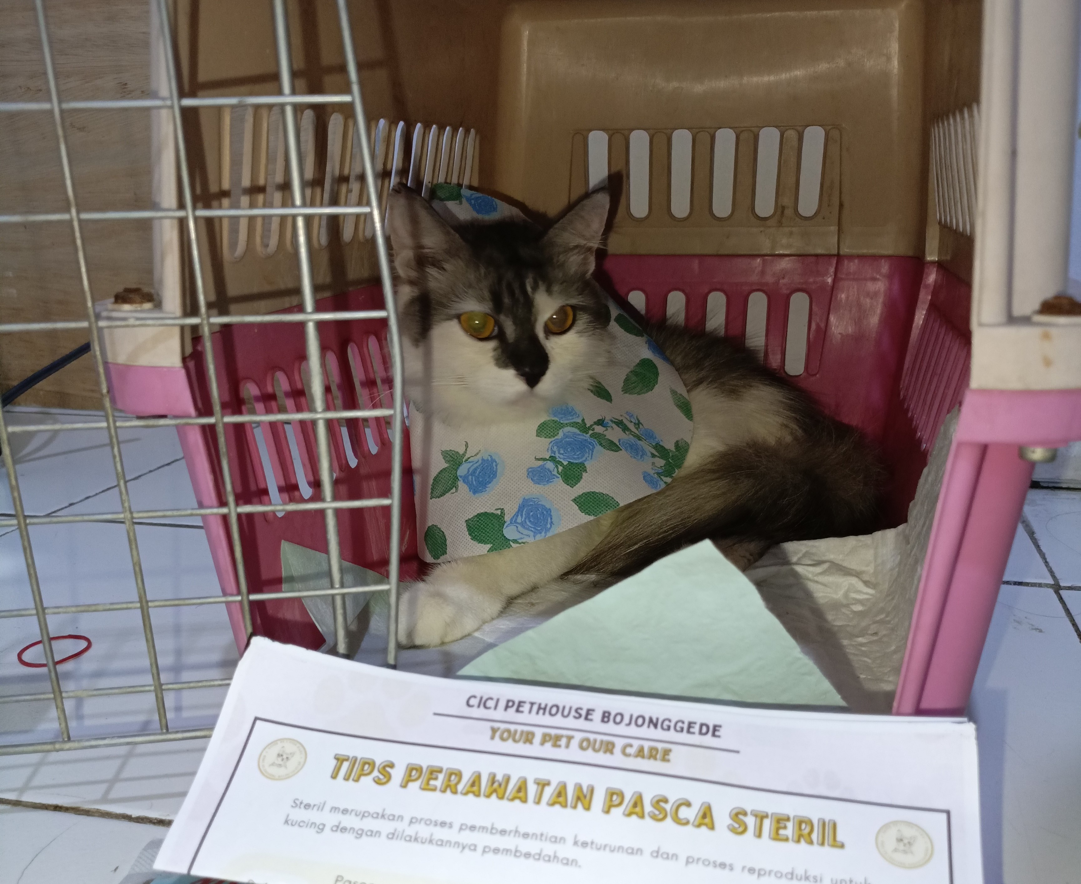 Gambar 1